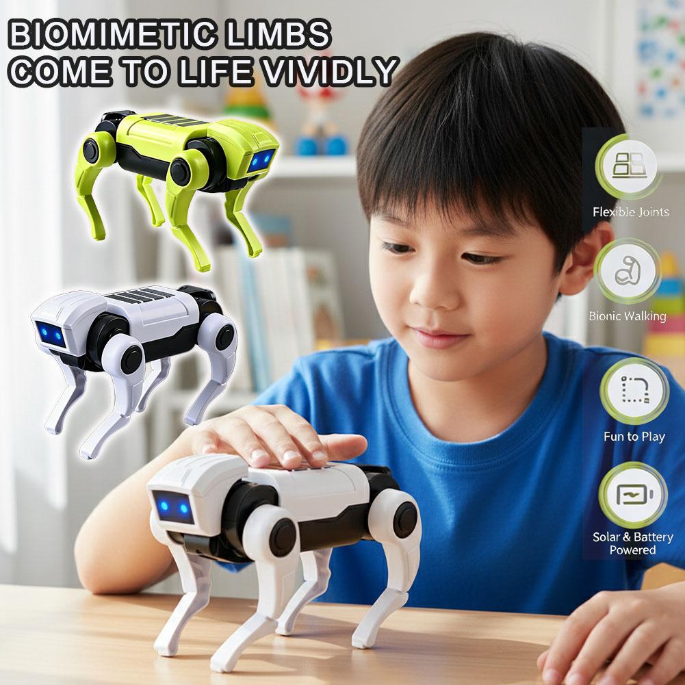 DIY Assembly RC Robot Dog Toy  - Model Kit Mecha 评论和价格